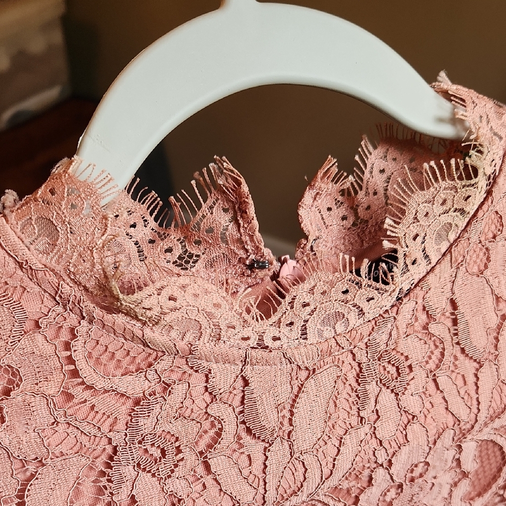Delicate Dusty Pink Lace Dress Size S - Picture 4 of 16